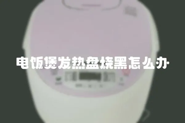 電飯煲發(fā)熱盤燒黑怎么辦