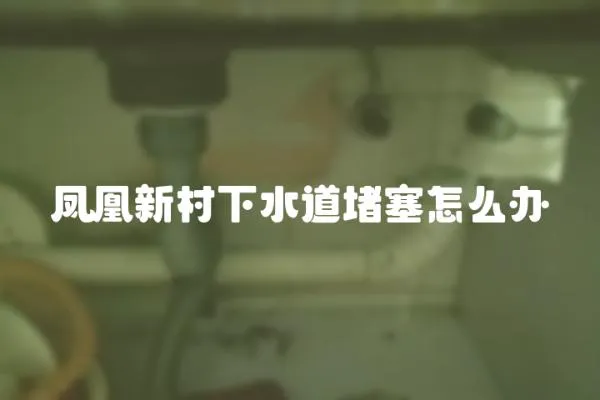 鳳凰新村下水道堵塞怎么辦