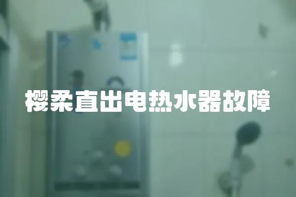 櫻柔直出電熱水器故障