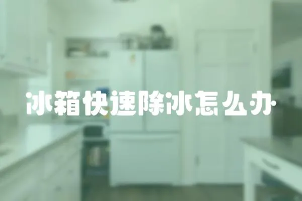 冰箱快速除冰怎么辦