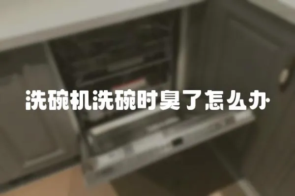 洗碗机洗碗时臭了怎么办