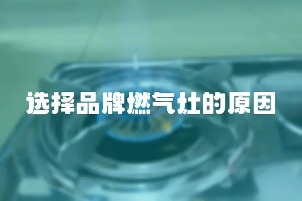 選擇品牌燃?xì)庠畹脑? loading=