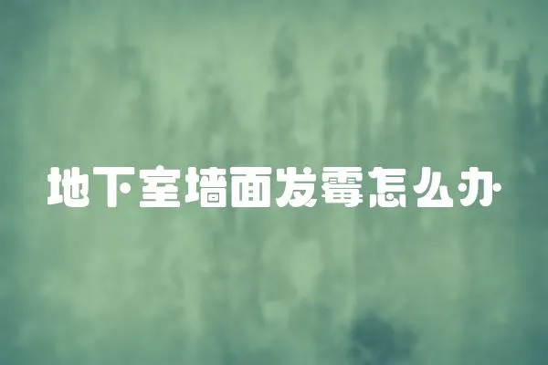 地下室墻面發霉怎么辦
