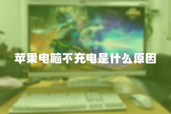 蘋果電腦不充電是什么原因