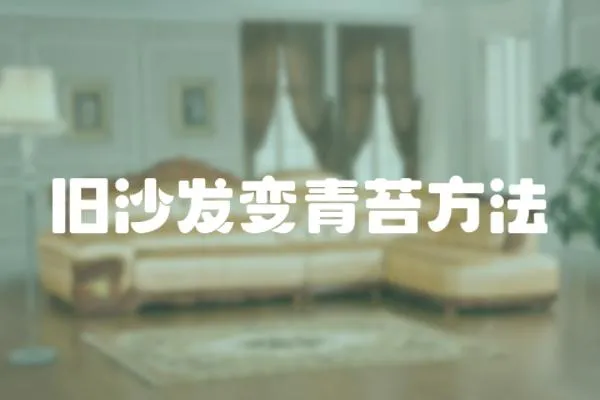舊沙發變青苔方法
