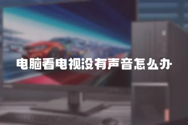 電腦看電視沒有聲音怎么辦