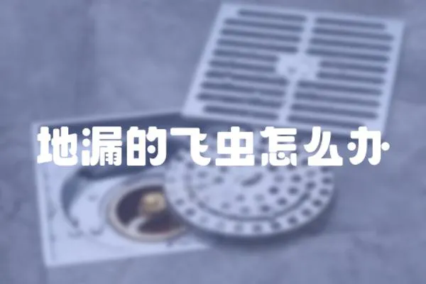 地漏的飛蟲怎么辦