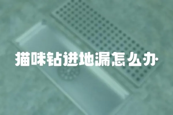 貓咪鉆進(jìn)地漏怎么辦