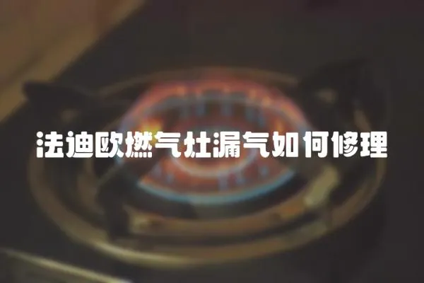 法迪歐燃氣灶漏氣如何修理