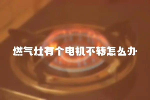 燃氣灶有個電機不轉怎么辦