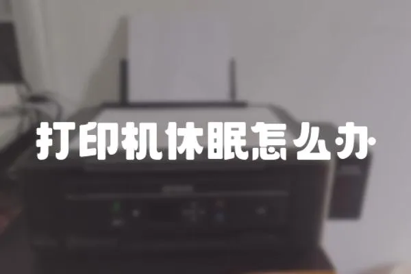 打印機休眠怎么辦