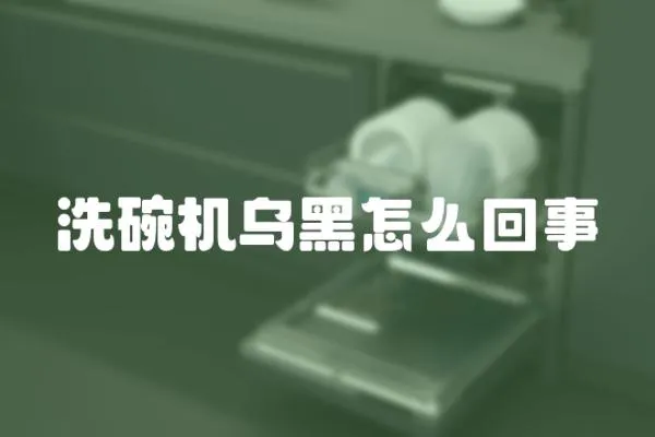 洗碗機烏黑怎么回事