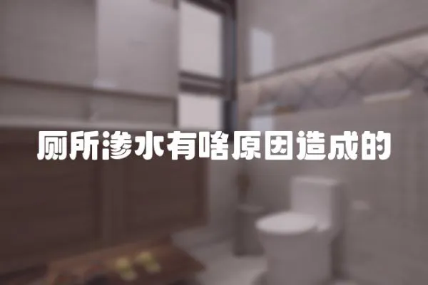 廁所滲水有啥原因造成的