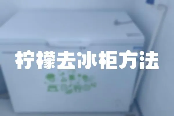 檸檬去冰柜方法