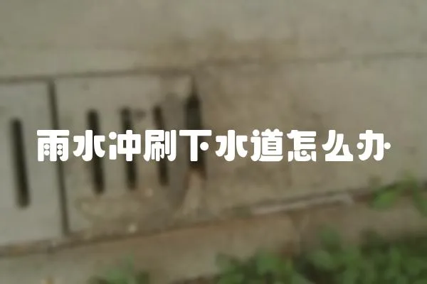 雨水沖刷下水道怎么辦