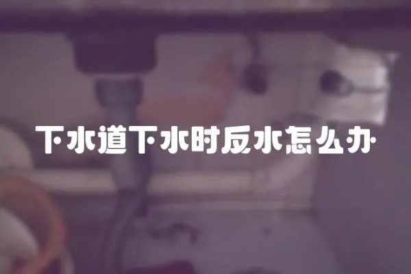 下水道下水時反水怎么辦