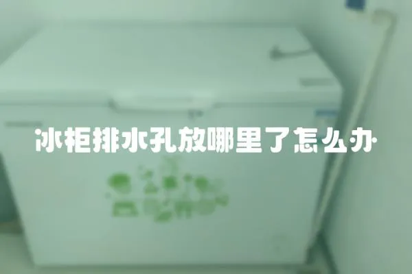 冰柜排水孔放哪里了怎么辦