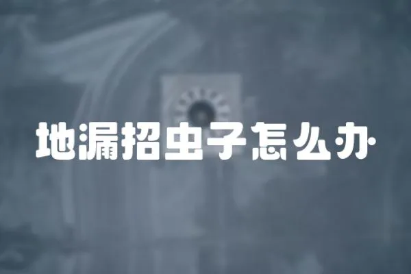 地漏招蟲子怎么辦