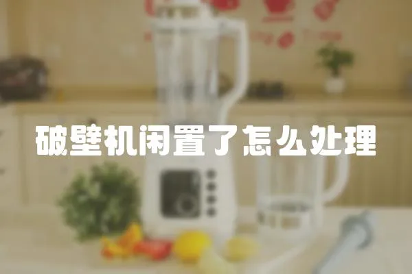 破壁機閑置了怎么處理