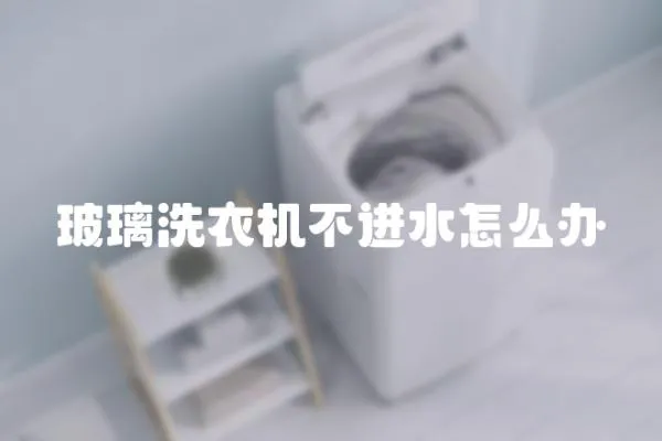 玻璃洗衣機不進水怎么辦