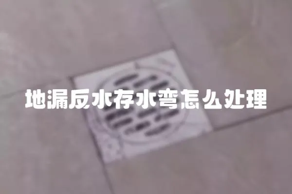 地漏反水存水彎怎么處理