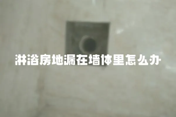 淋浴房地漏在墻體里怎么辦