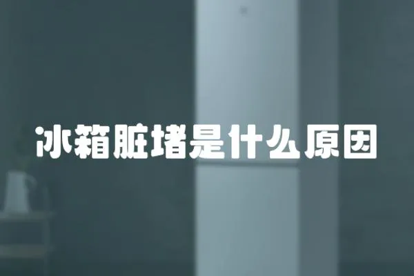 冰箱臟堵是什么原因