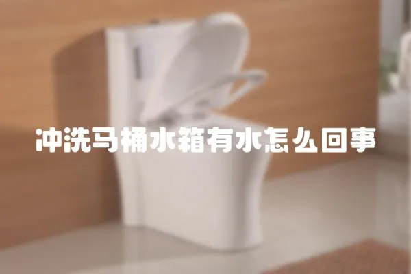 沖洗馬桶水箱有水怎么回事