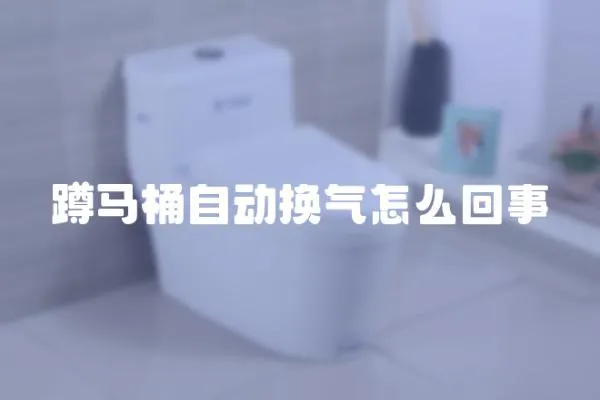 蹲馬桶自動(dòng)換氣怎么回事