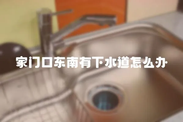 家門口東南有下水道怎么辦