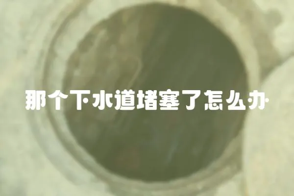 那個下水道堵塞了怎么辦