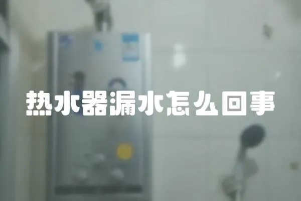 熱水器漏水怎么回事