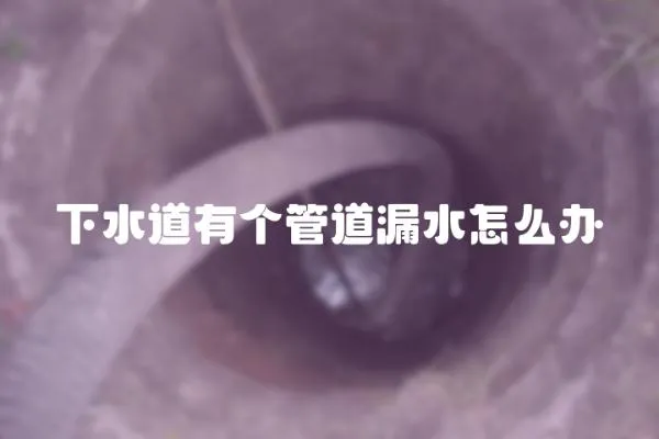 下水道有個管道漏水怎么辦