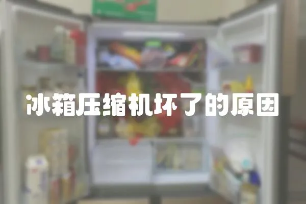 冰箱壓縮機(jī)壞了的原因