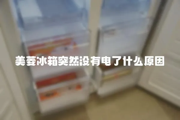美菱冰箱突然沒有電了什么原因