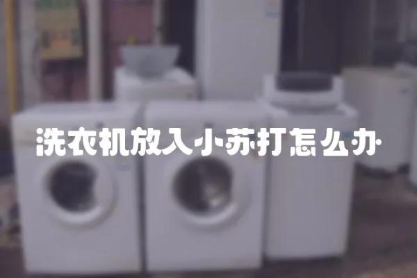 洗衣機放入小蘇打怎么辦