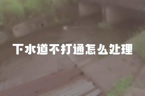 下水道不打通怎么處理