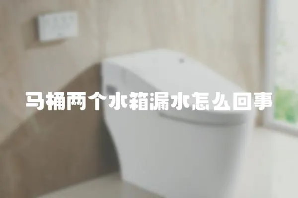 馬桶兩個(gè)水箱漏水怎么回事