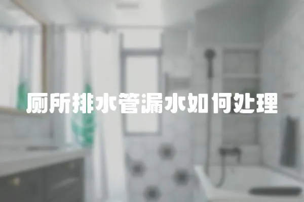 廁所排水管漏水如何處理