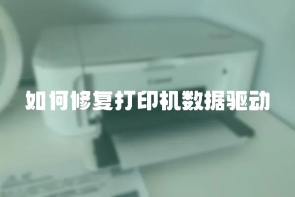 如何修復(fù)打印機(jī)數(shù)據(jù)驅(qū)動(dòng)