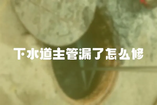 下水道主管漏了怎么修