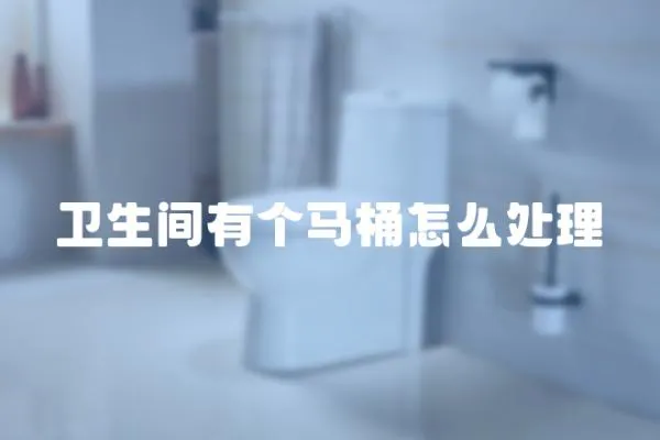 衛生間有個馬桶怎么處理