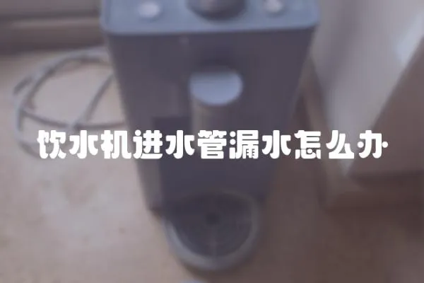 飲水機(jī)進(jìn)水管漏水怎么辦