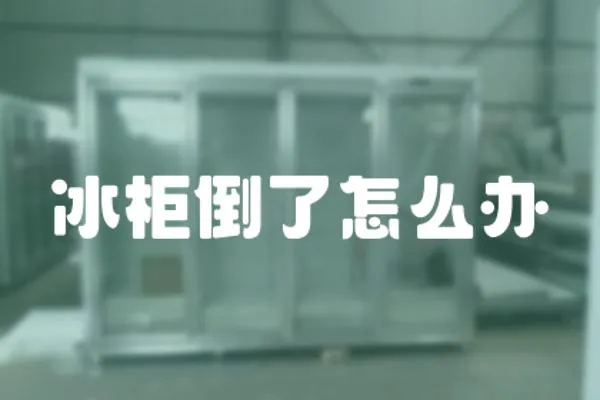 冰柜倒了怎么辦