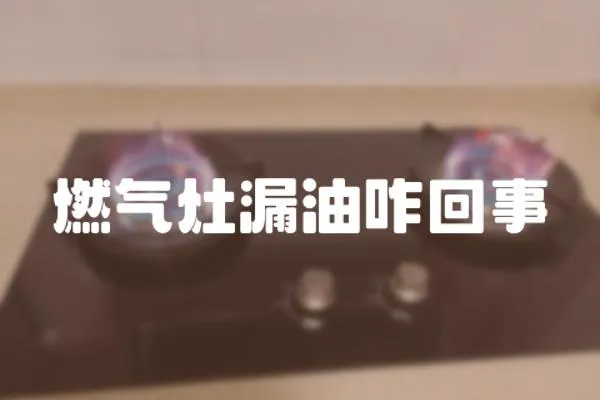 燃?xì)庠盥┯驼厥? loading=