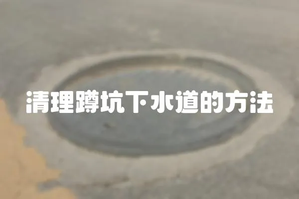 清理蹲坑下水道的方法