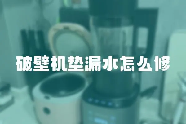 破壁機墊漏水怎么修