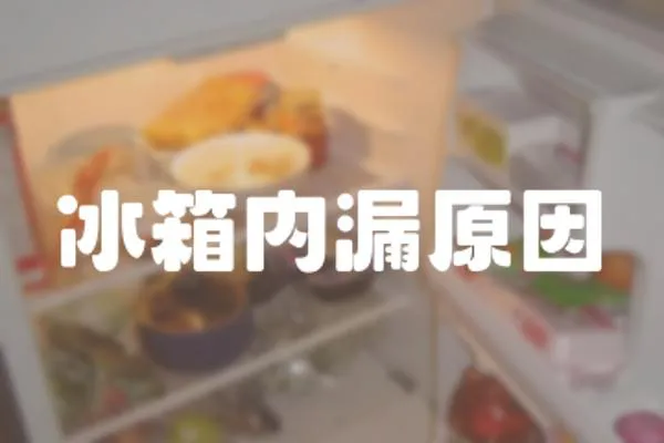 冰箱內漏原因