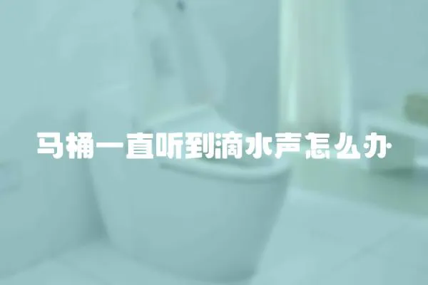 馬桶一直聽到滴水聲怎么辦