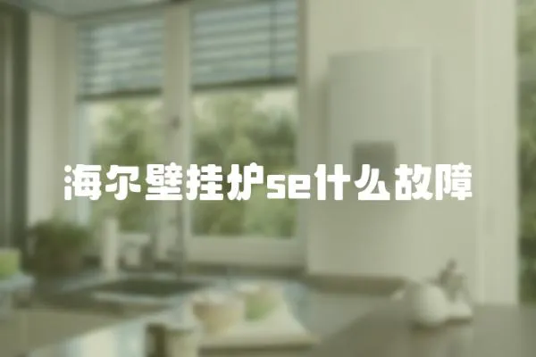 海爾壁掛爐se什么故障